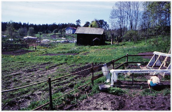 Un terrain agricole loué à des citadins en Union soviétique
